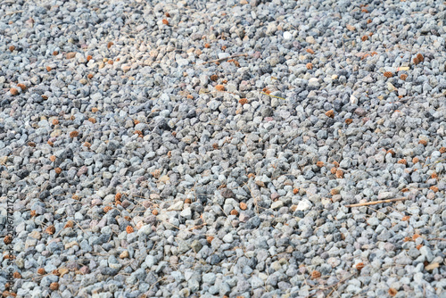 Crushed granite gravel texture with small, scattered brown pine seed cones on a garden path.