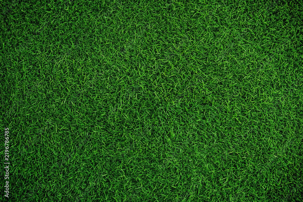 Fototapeta premium Fresh Green Grass Field Texture – Natural Lawn Background