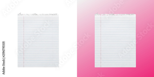 Cuadro en lienzo Lined paper sheet torn from notebook page for notes