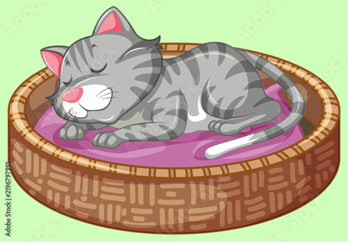 cat with a basket
