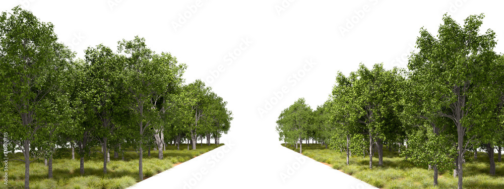 Fototapeta premium Natural forest trees line way on transparent backgrounds 3d rendering png