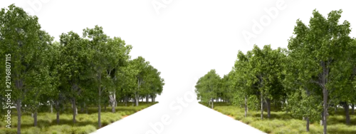 Panel kuchenny z motywem Natural forest trees line way on transparent backgrounds 3d rendering png