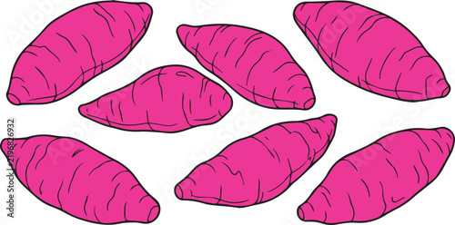 Mini Yellow Sweet Potato Vector Line Art Outline Drawing