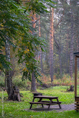 Wooden picnic table rests beside forest cabin among tall pine and leafy trees.