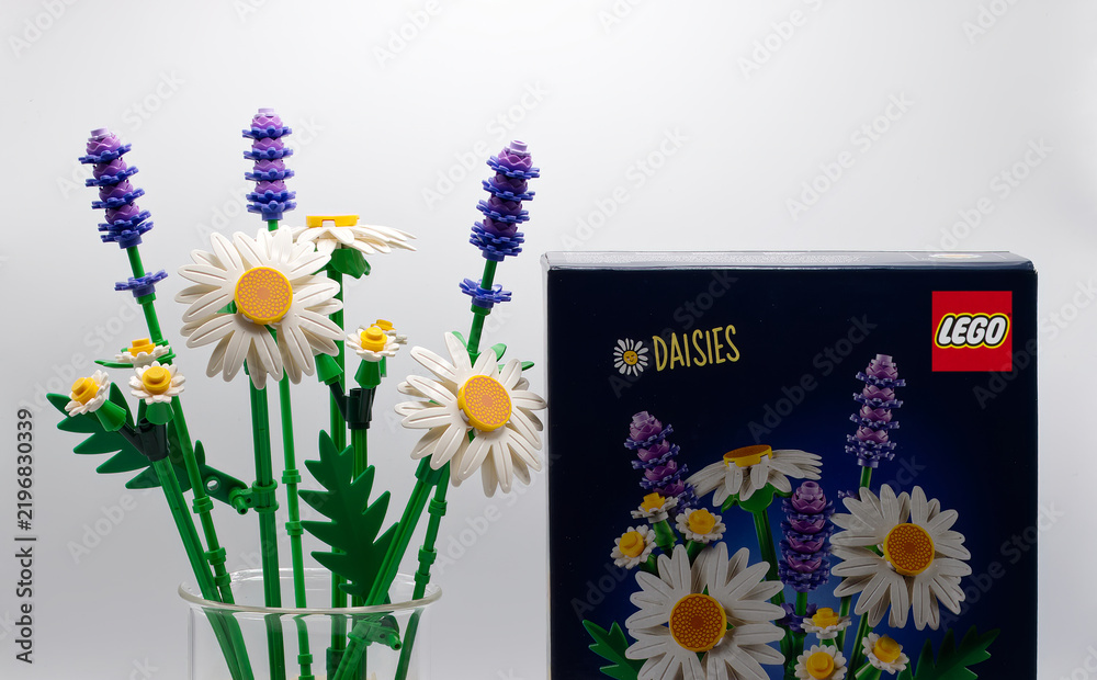 Obraz premium Bologna - Italy - September 17, 2026: A bouquet of colorful lego daisies and lavender flowers standing beside the original retail packaging box.