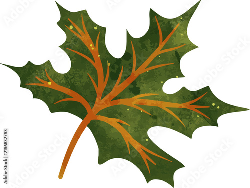 Watercolor Green Leaf with Orange Veins Isolated