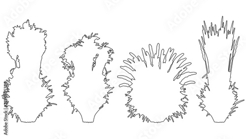 Set of architectural tree and bush elevation outline contours for landscape design, garden planting sketch symbols, isolated on transparent background