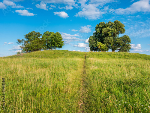 Narrow footpath through green meadow leading up a hill with two linden trees
