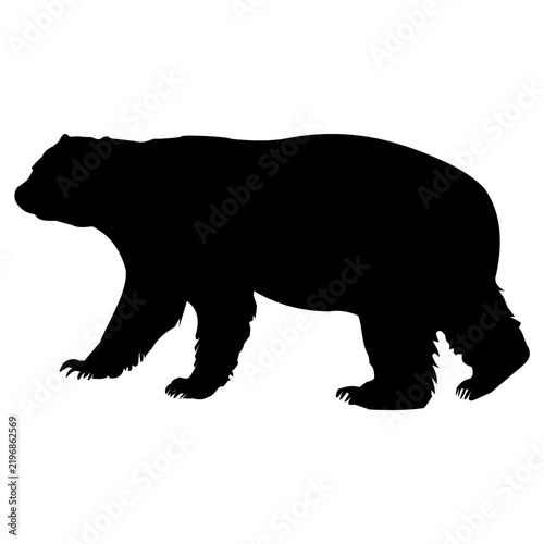Grizzly Bear Silhouette Walking Forest Wildlife Mammal Vector Illustration