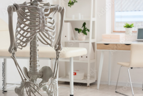 Human skeleton model in light medical office
