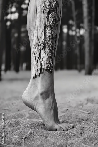 Human Leg Blended with Tree Bark Texture Symbolizing Nature Connection