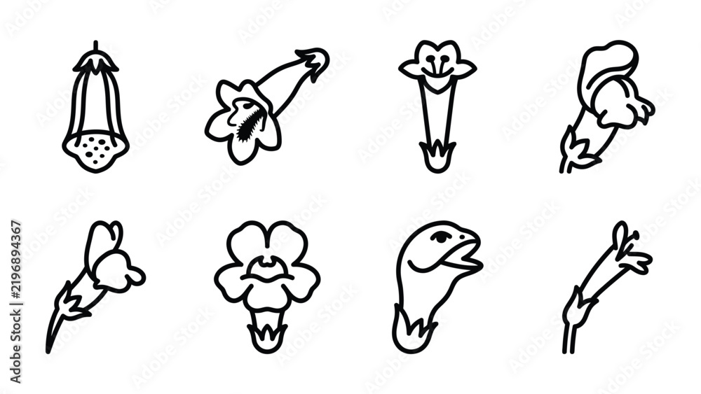 Fototapeta premium Set of Botanical Illustrations: A collection of line art illustrations depicting various flower shapes, each showcasing unique petal formations and botanical detail.