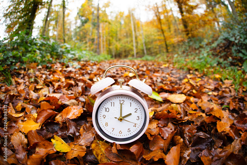 Obraz premium End of daylight saving time in autumn, winter time changeover, alarm clock fall back switch, colorful foliage in forest