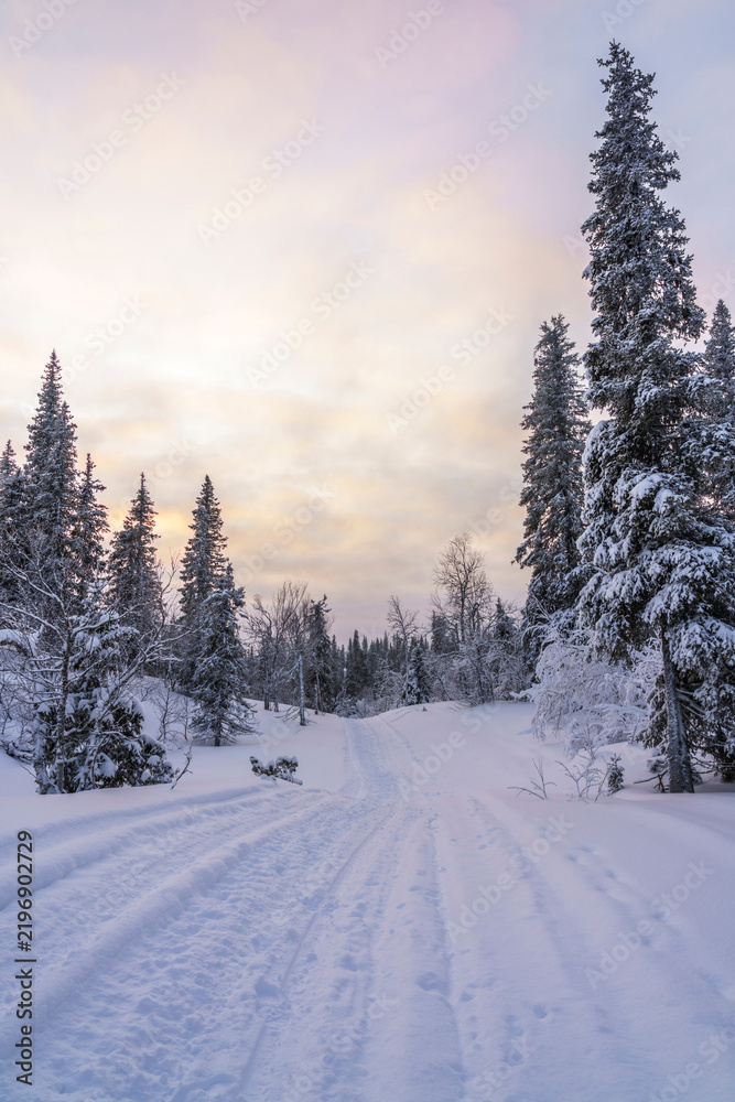 Obraz premium Scenic landscape of rural road with snow