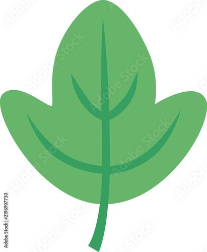 Leaf - Sassafrass, Green