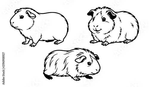 Guinea Pig Black and White Outline Vector Clip Art Set