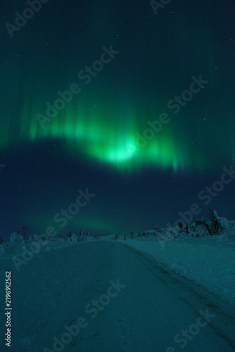 Snowy landscape under northern lights at night