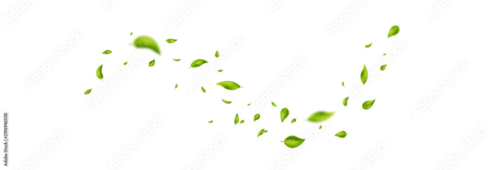 Obraz premium Green flying leaves wave. Leaf falling frame. Foliage ornament. Vegan, eco, organic product. Cosmetic pattern. Spring tree plant design. Fresh mint tea background. Air wind. Vector illustration