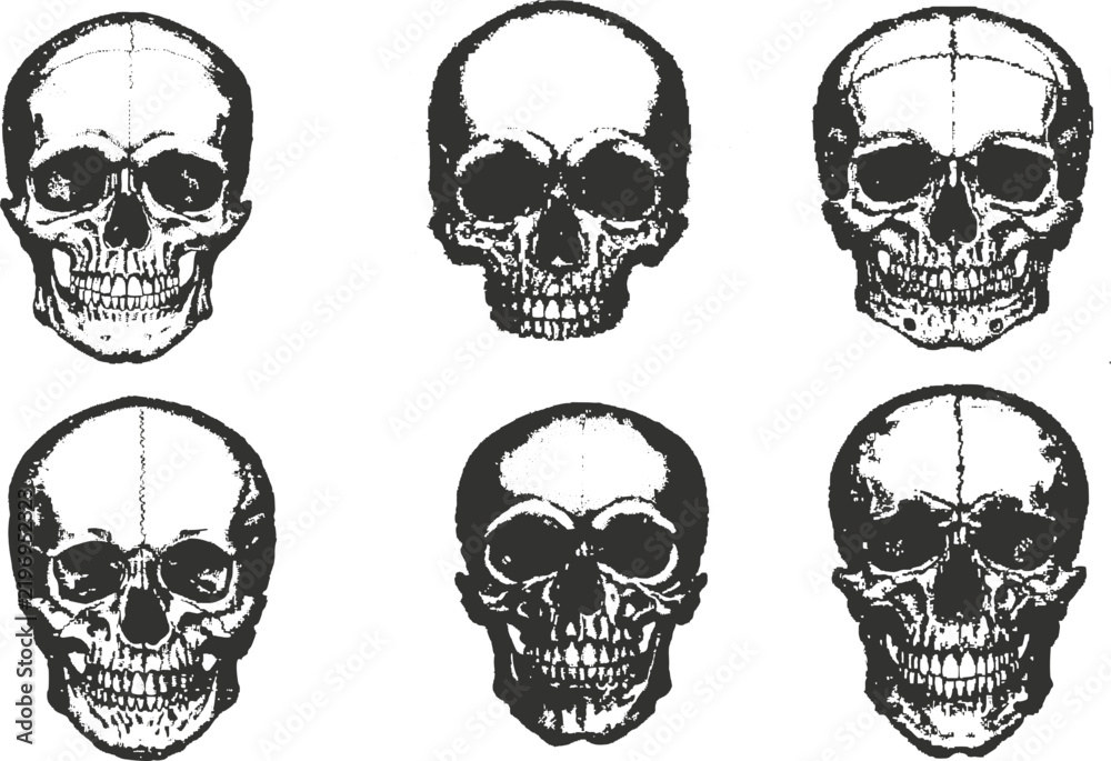 Fototapeta premium Black and White Human Skull Collection, Hand-Drawn Vintage Skull Illustration with Engraved Sketch, Grunge Halftone Grain, Stipple and Photocopy Effect.