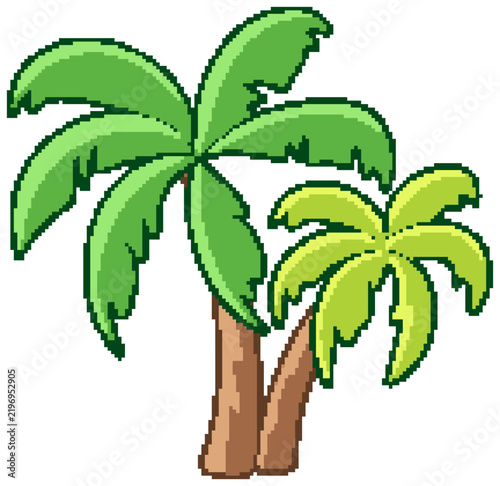Cartoon Tropical Palm Trees Vector Illustration on White Background