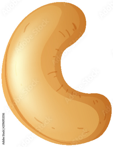 Single Roasted Cashew Nut Vector Illustration on White Background