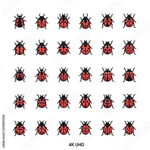 Set of Ladybug Icons, Cute Insect Illustrations, Vector Art