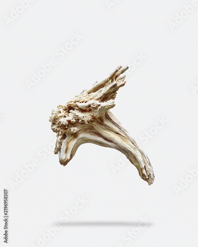 Dry twisted driftwood piece floating on light gray background
