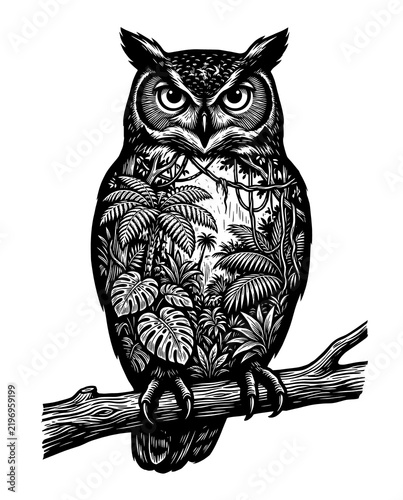 Vintage engraving double exposure silhouette of an owl with tropical jungle and monstera leaves landscape inside, isolated transparent background.