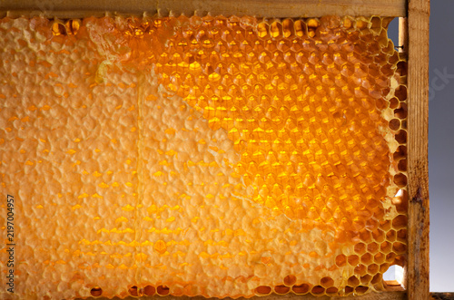 Wooden beehive frame with honeycombs. Combs full of honey, some with wax caps cut off.