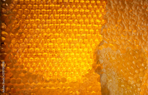 Honeycombs filled with honey, sealed with wax caps, some caps cut off. Close-up of honeycombs filled with honey.