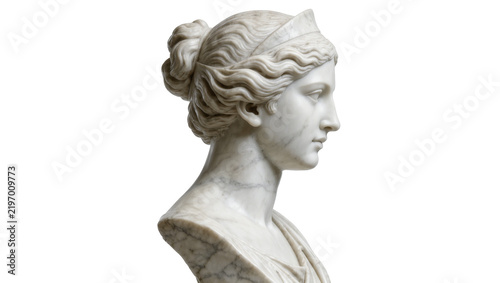 Bild auf Leinwand Classical marble bust of a woman with intricate hairstyle, isolated on transpare