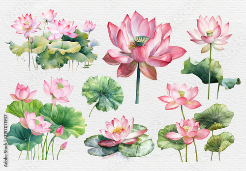 Elegant Watercolor Lotus Flowers Design Set