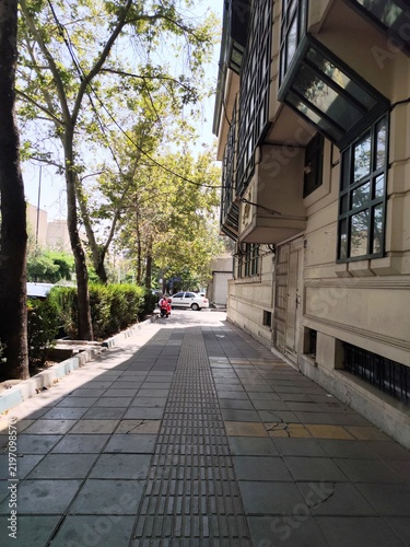 Quiet Urban Sidewalk Surrounded By Trees And Buildings