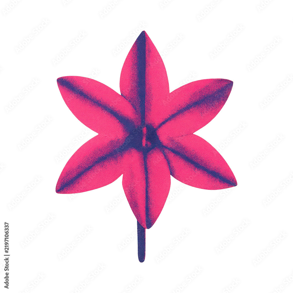 Obraz premium PNG Vibrant pink flower illustration