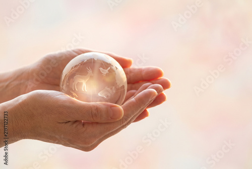 Hands holding crystal globe engraved with wildlife silhouettes symbolizing conservation