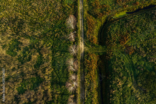 Aerial view of a straight dirt path dividing green fields and meadows, with a line of trees casting long shadows and a small stream in Kaisiadorys, Kaunas County, Lithuania.