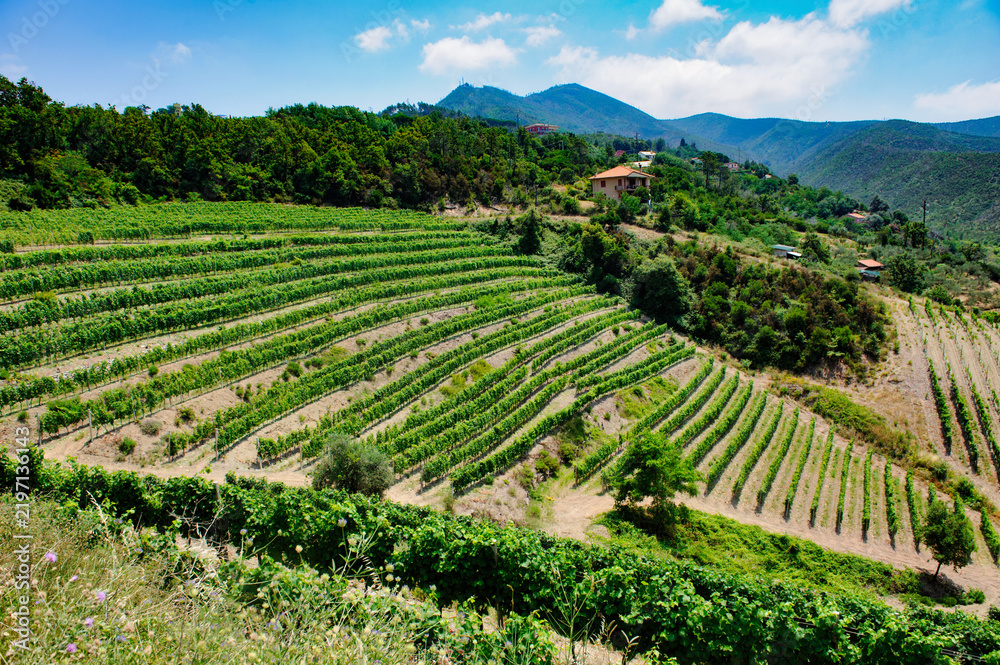 Obraz premium Mountain landscape at summer along the Passo del Bracco, in Genoa province, Italy