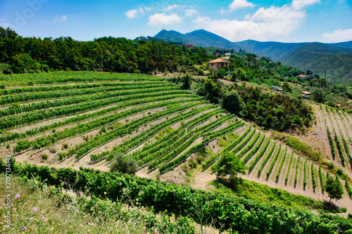 Mountain landscape at summer along the Passo del Bracco, in Genoa province, Italy
