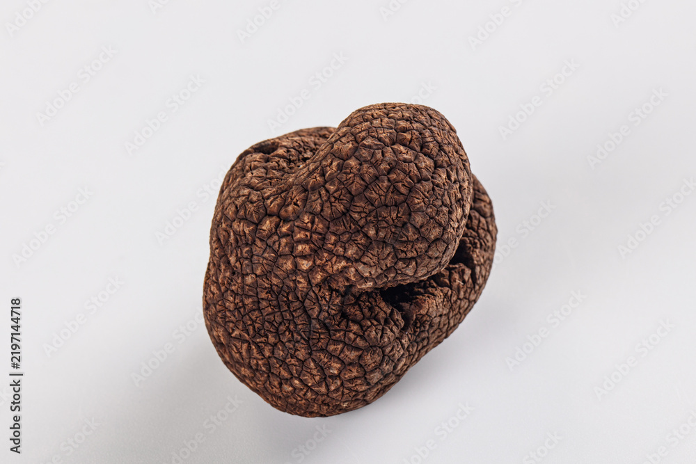 Fototapeta premium Dark brown truffle with deeply textured warty surface isolated on white background, close up studio shot with soft lighting