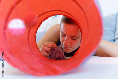 Принти на полотні Woman gently petting kitten during playtime with cat tunnel