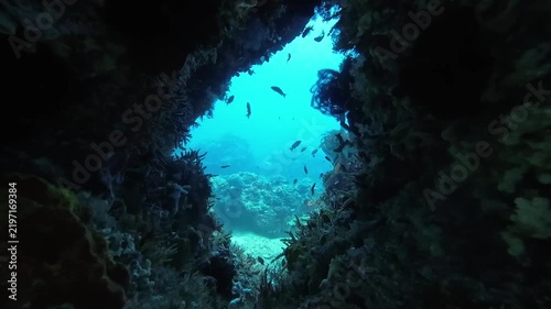 A dark coral cave opening into bright blue water. Silhouettes of fish swim through the sunlit gap framed by shadowy reef walls.