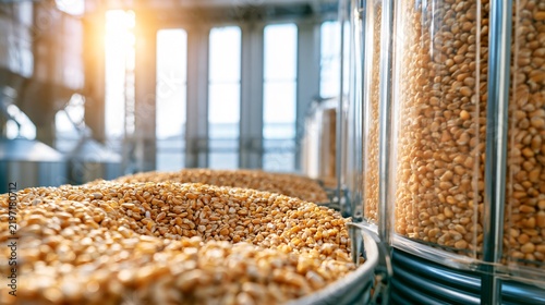 A modern corn harvest background showing large transparent storage containers filled with golden corn kernels inside a bright agricultural facility, sunlight passing through high windows
