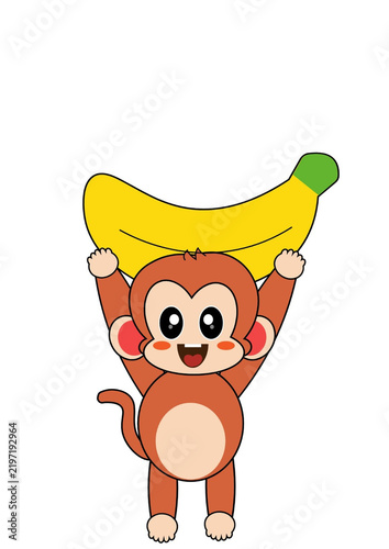 Photography Monkey and banana
