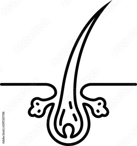 hair follicle icon healthy root