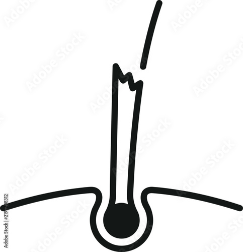 minimal vector line icon of broken hair strand at follicle