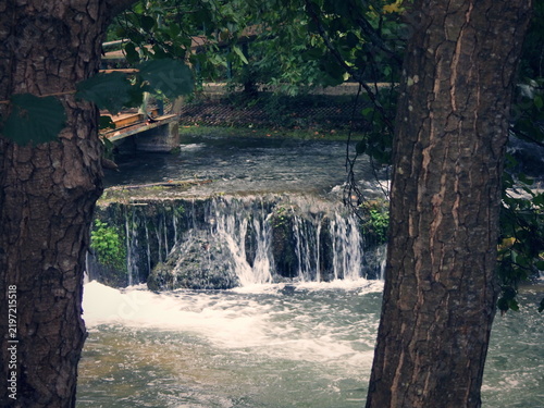 Obraz na plátně Between two massive tree trunks, a small waterfall slides over a moss‑covered stone
