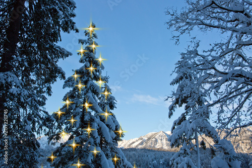 Christmas background with glowing pine tree in a winter forest.