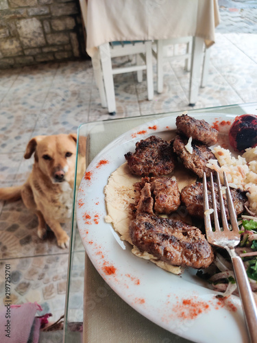 Картината върху платно a hungry dog asks for food in a restaurant at the table