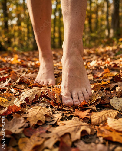 Barefoot foot walking through autumn leaf litter in sunlit woodland, creating tactile connection with nature and seasonal change