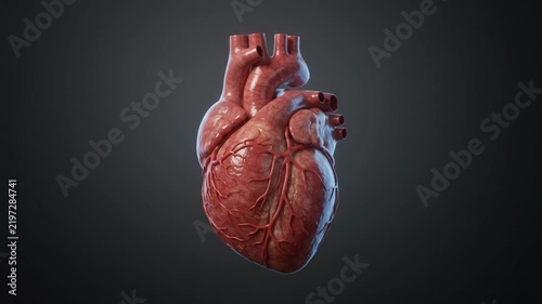 A highly detailed 3D render of a human heart, showcasing its intricate vascular network and muscular structure.